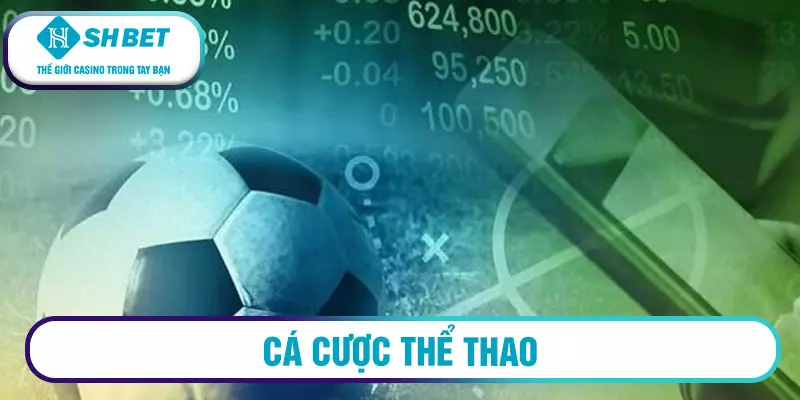 Giới thiệu SHBET Top 1 Google 1 Cá Cược Thể Thao